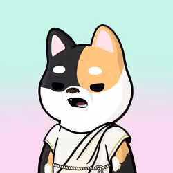 Shibe #319