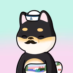 Shibe #81