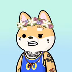 Shibe #391
