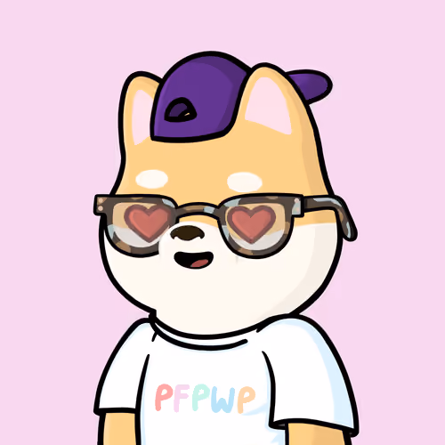 Shibe #481