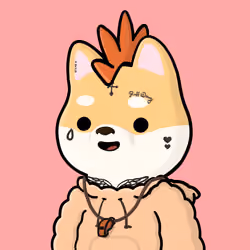 Shibe #5541