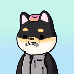 Shibe #338
