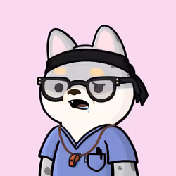 Shibe #723