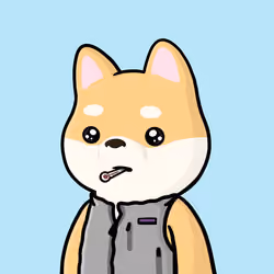 Shibe #2254