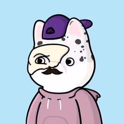 Shibe #411