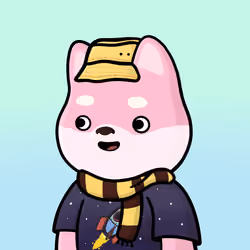 Shibe #2540