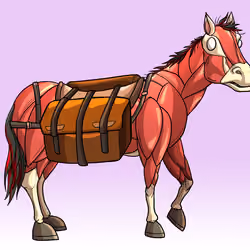 Glue Factory Horse #3806