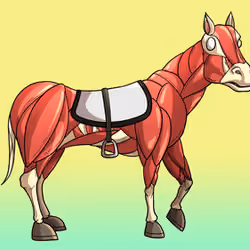 Glue Factory Horse #660