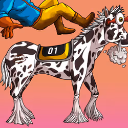 5251