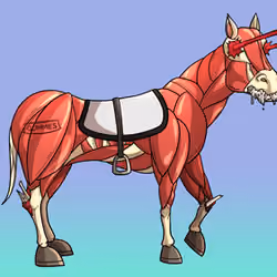 Glue Factory Horse #6306