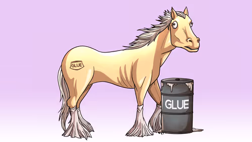 Glue Factory Horse #2381