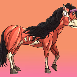 Glue Factory Horse #7732