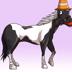 4211
