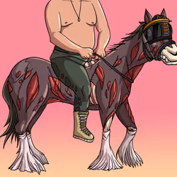 1586