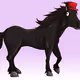 4901