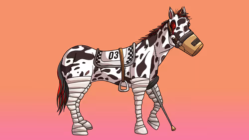 Glue Factory Horse #8826