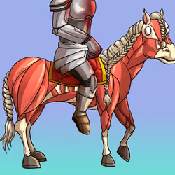Glue Factory Horse #8125