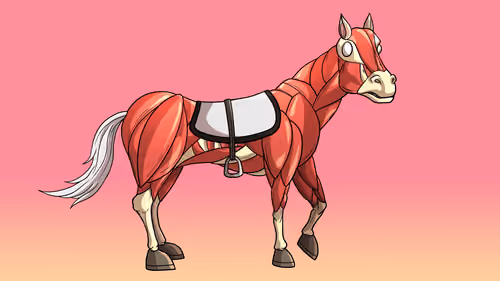 Glue Factory Horse #1977