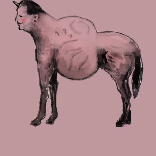 33