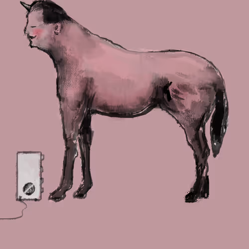 505