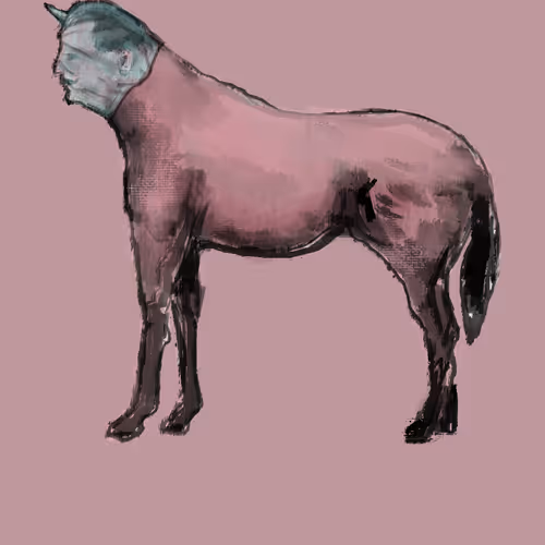 853