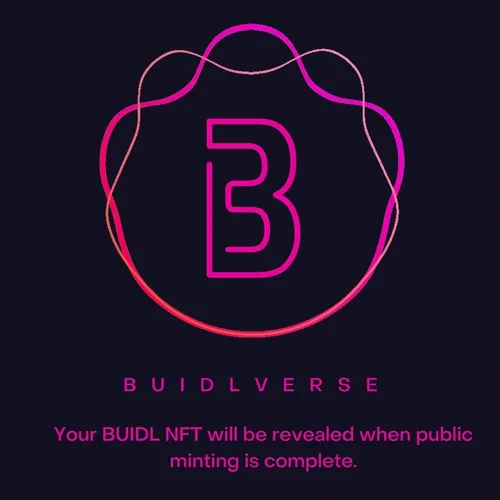 Buidlverse
