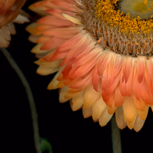 NOT YOUR TYPE by Aaron Ferguson