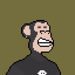 Pixel HAPE #2389