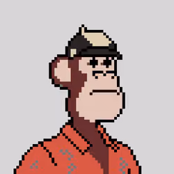 Pixel HAPE #2343