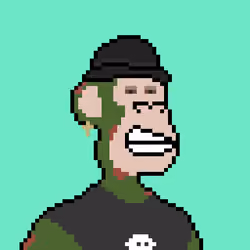 Pixel HAPE #2230