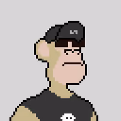 Pixel HAPE #786