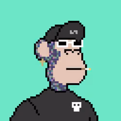 Pixel HAPE #2536