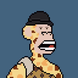 Pixel HAPE #2371