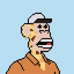 Pixel HAPE #864