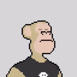 Pixel HAPE #1769