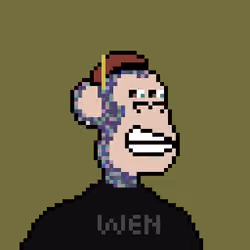 Pixel HAPE #1941