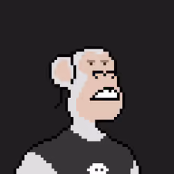 Pixel HAPE #2437