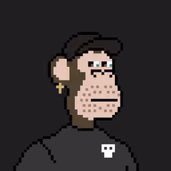 Pixel HAPE #2345
