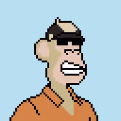 Pixel HAPE #2363