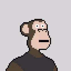 Pixel HAPE #220