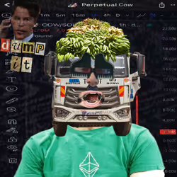 DumbDegenBoy #1109