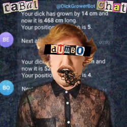 DumbDegenBoy #527
