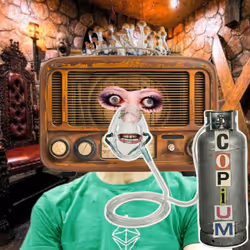DumbDegenBoy #584
