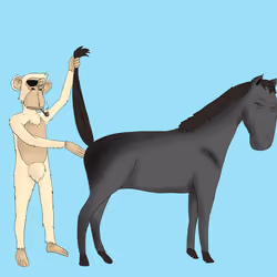 Horse Fingerers #274