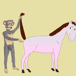 Horse Fingerers #275