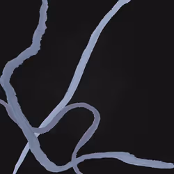 Psyche 3623