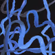 Psyche 4427