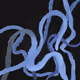 Psyche 3115