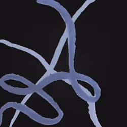 Psyche 2570