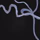 M001CK199